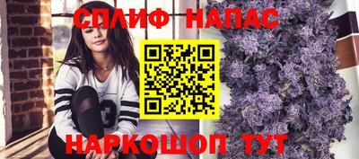 мдпв Заводоуковск