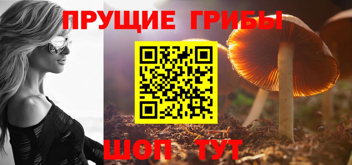 Галлюциногенные грибы GOLDEN TEACHER  Галлюциногенные грибы Psilocybe  Вход с VPN  Медногорск 